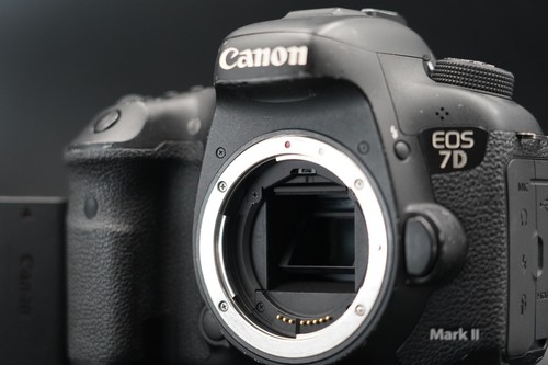 Videocamera reflex digitale